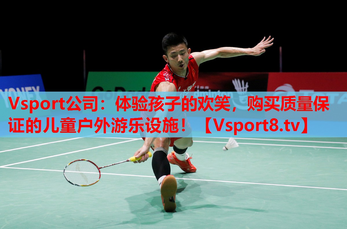 Vsport公司：體驗(yàn)孩子的歡笑，購買質(zhì)量保證的兒童戶外游樂設(shè)施！