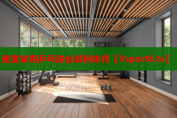 便宜家用乒乓球臺其利體育