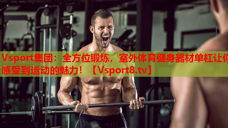 Vsport集團(tuán)：全方位鍛煉，室外體育健身器材單杠讓你感受到運(yùn)動(dòng)的魅力！